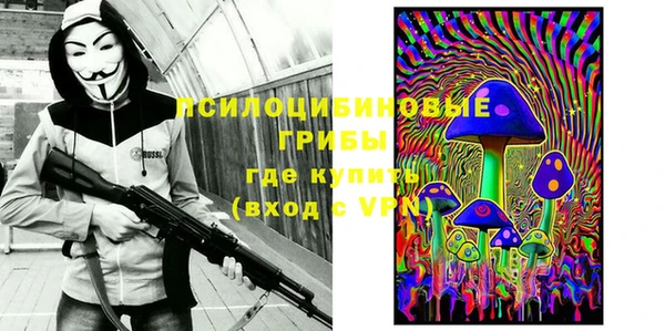 ECSTASY Валдай