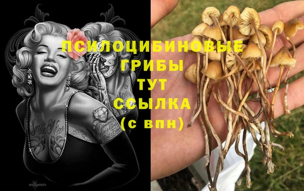 гидропоника Нефтекумск