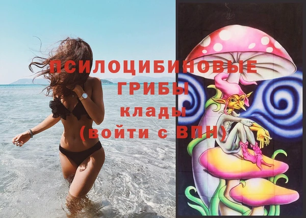 а пвп мука Татарск