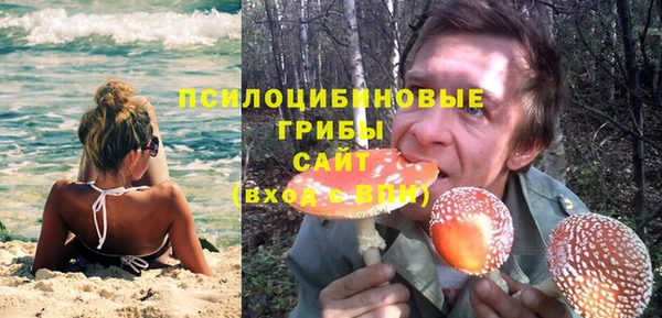 прущие грибы Надым