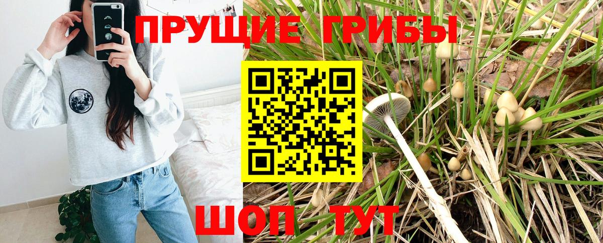 Псилоцибиновые грибы ЛСД Уфа