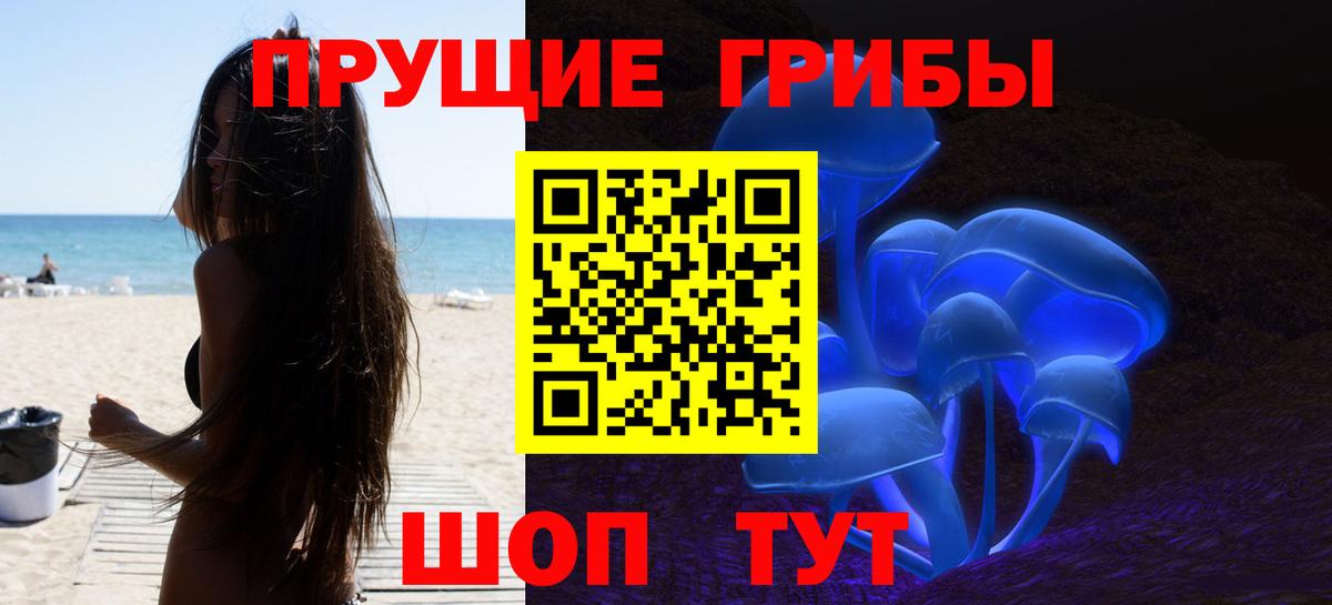 Псилоцибиновые грибы Cubensis Уфа